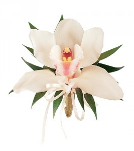 White Orchid HF1744