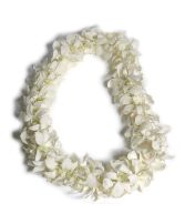 white orchid lei 