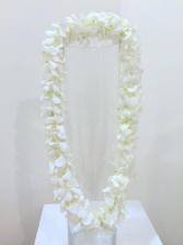 White Orchid Lei Lei