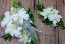 White Orchid Wrist Corsage & Boutonniere 