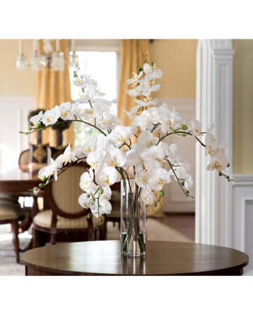 White orchids