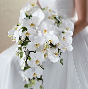 White Orchids Bride bouquet