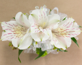 White Peruvian Lily Corsage