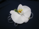 White Phalaenopsis Orchid, Silver Tube Ribbon, $35 