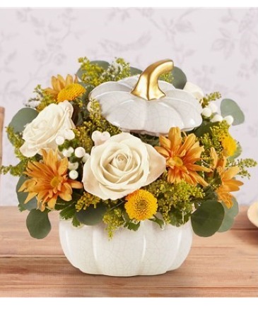 White Pumpkin Surprise! White Crackle Ceramic Pumpkin, Gold  Stem in Gainesville, FL | PRANGE'S FLORIST