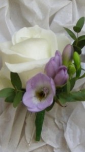 White rose and lavender freesia  