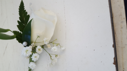 white rose bounair