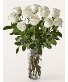 WHITE ROSE BOUQUET LONG STEMMED ROSES IN A GOLD DIPPED VASE