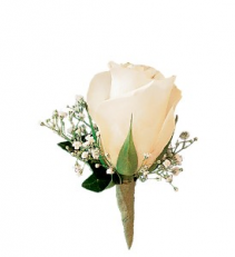 White Rose  Boutonniere 