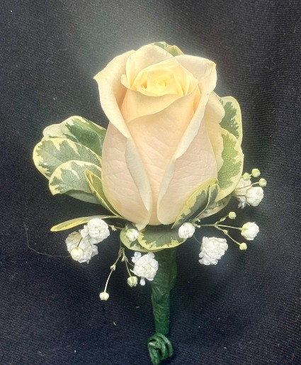 White Rose  Boutonniere