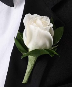 Category Image