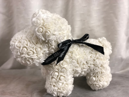 White Rose Dog