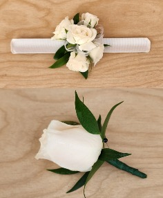 Category Image