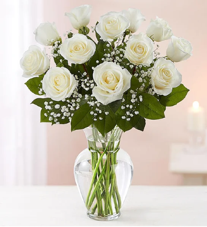 White Rose Elegance Roses