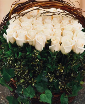 White Rose Hedge Sympathy Basket in Braintree, MA | Braintree Flowers