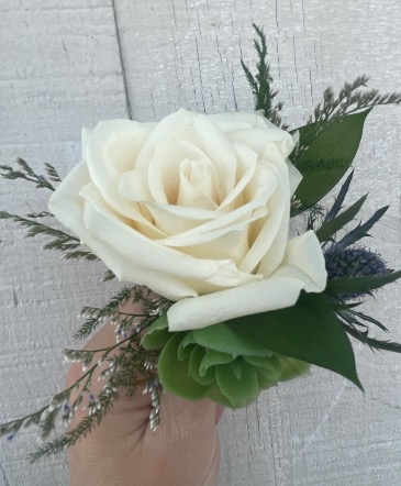 White Rose Succulent Thistle   in Etobicoke, ON | THE POTTY PLANTER FLORIST