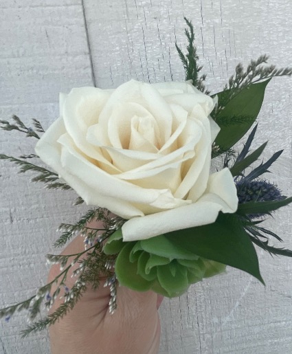 White Rose Succulent Thistle  