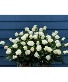 Purchase this funeral home arrangement