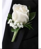 White Rose with Baby breath Bout 