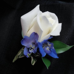 Category Image