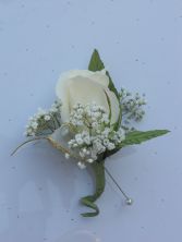 White Rose with Gold Ribbon  