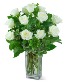 White Roses (12) Flower Arrangement