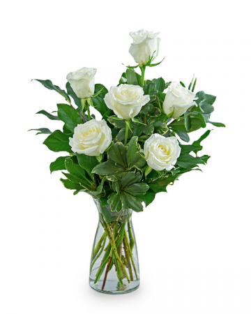 White Roses (6) Flower Arrangement in Nevada, IA | Flower Bed