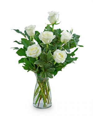 White Roses (6) Flower Arrangement