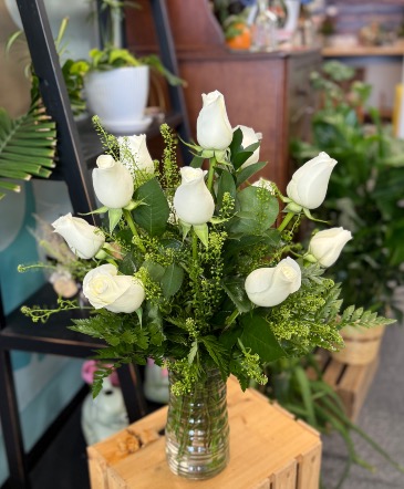 Classic White Roses  in Elizabeth City, NC | Albemarle Floral 