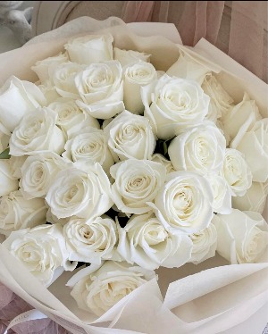 White Roses  