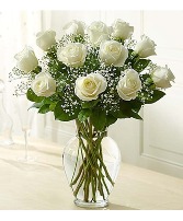 White Roses  
