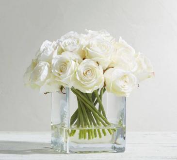 White Roses in Square Vase  in Coconut Grove, FL | Luxury Flowers