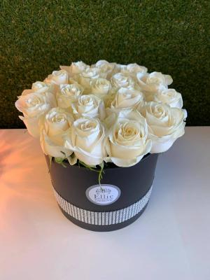 White Roses of Love 