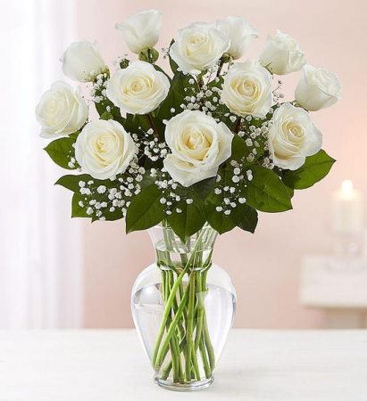 White roses Roses