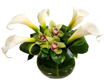 White Sands Calla Lily and Cymbidium Orchid Arrangement