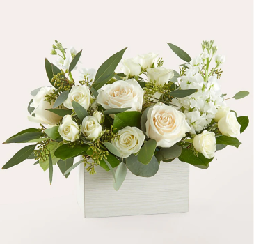 WHITE SERENE LINEN BOX  in Williamsburg, VA | Blessing and Blooms Florist WHITE SERENE LINEN BOX  in Williamsburg, VA | Blessing and Blooms Florist
