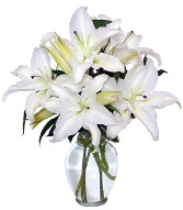 White Splendor Vase 