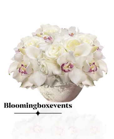 White Stylish Premium Modern in Passaic, NJ | Blooming Box Events