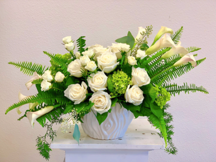 White Sympathy Classic