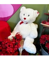 White Teddy Bear 