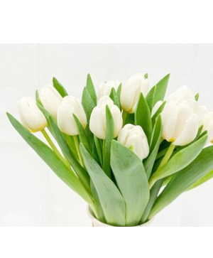 White Tulips Bouquet Hand Tied Bouquet