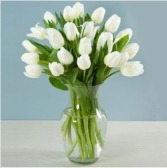 White Tulips  Vase Arrangemen
