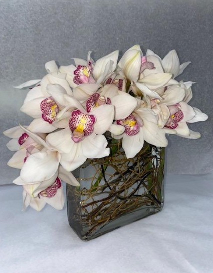 white twisted orchid arrangment 
