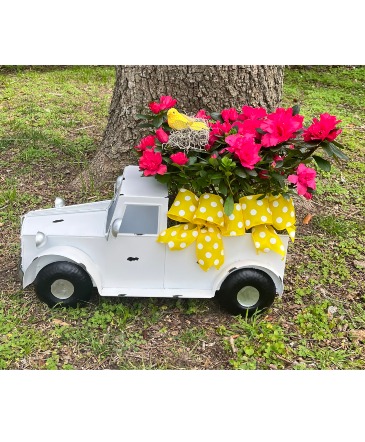 White Vintage Truck with Flowers  in Brenham, TX | BRENHAM WILDFLOWERS FLORIST