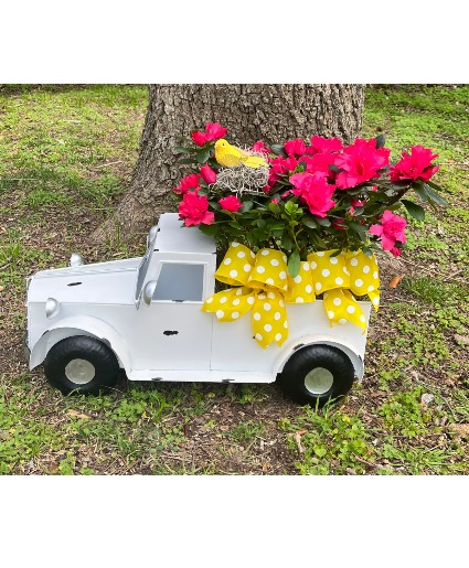 White Vintage Truck with Flowers 