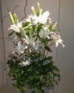 English Ivy with White Lilies va-108