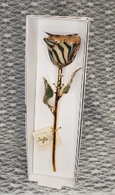 White w/ Black Zebra Gold Dipped Rose 