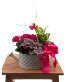 White Watering Can  Blooming Planter