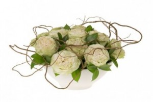 WHITE WILLOW ROSE DESIGN in Amelia Island, FL | ISLAND FLOWER & GARDEN WHITE WILLOW ROSE DESIGN in Amelia Island, FL | ISLAND FLOWER & GARDEN