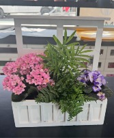 White Window Plants Planter